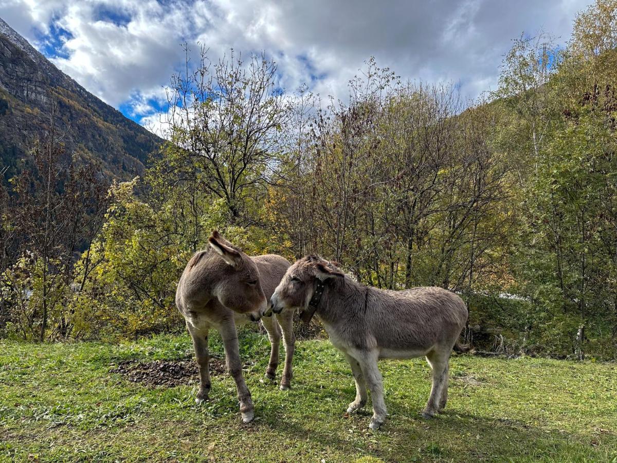 Cozyloge, Orelle & Les 3 Vallees Buitenkant foto